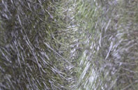 Tyldesley fibreglass roof work